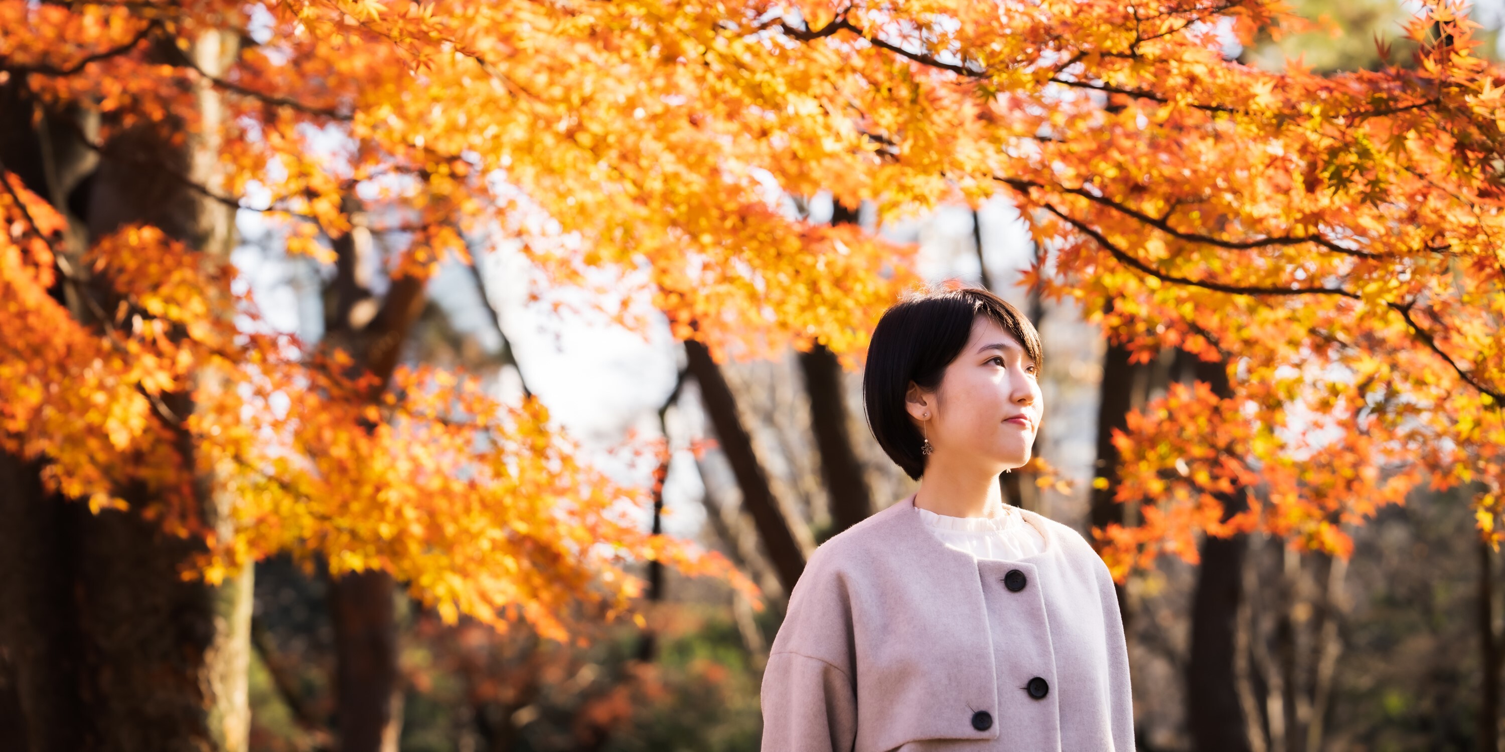（写真）紅葉の下で立ち、空を見上げるあさひさん